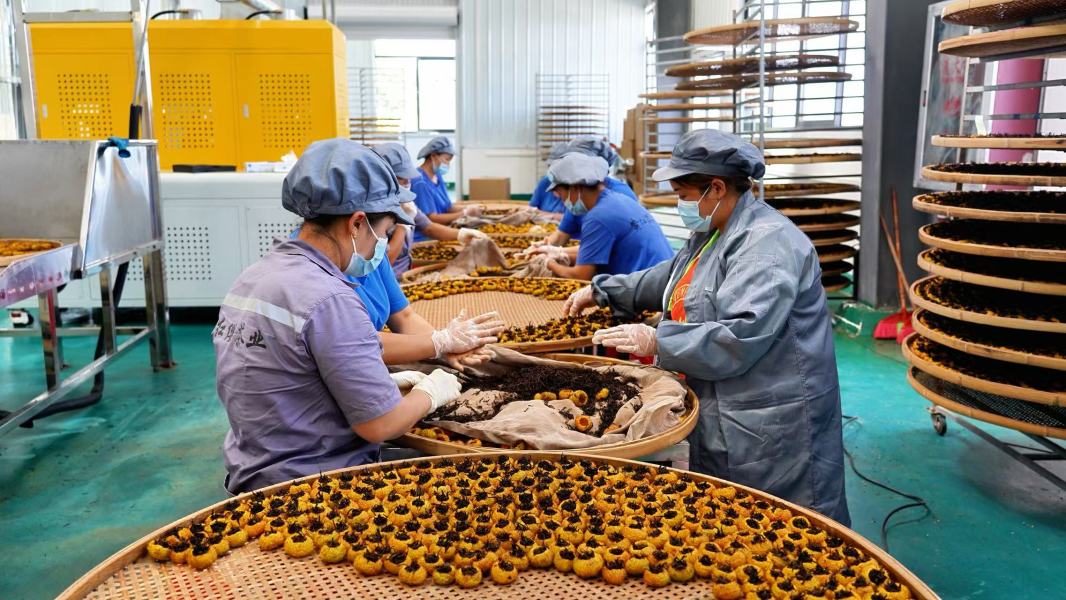 贵州：打造“刺梨红茶”新名片