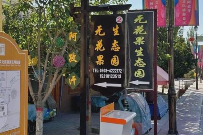 “一村一品”团队深入调研克州阿图什市松他克镇阿孜汉乡无花果