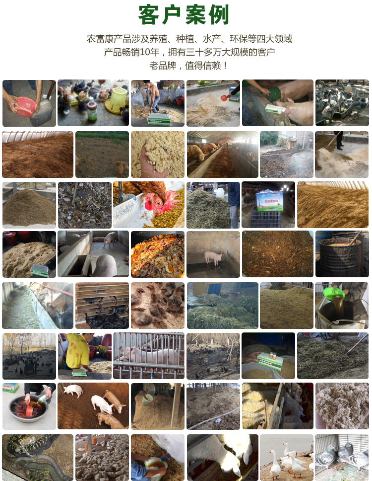 全市交通系统唯一!“锦绣五莲”客户端载入普通国省道实时路况信